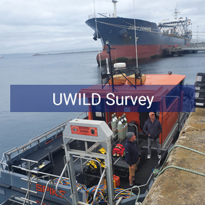 Shipping - Class UWILD Survey